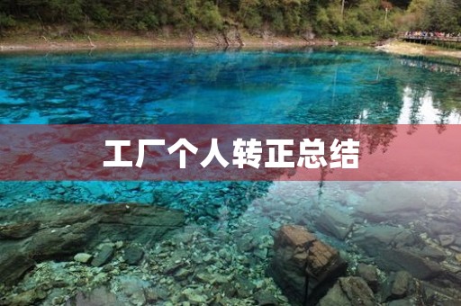 工厂个人转正总结
