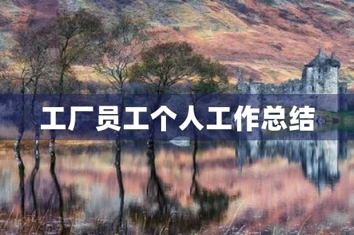 工厂员工个人工作总结