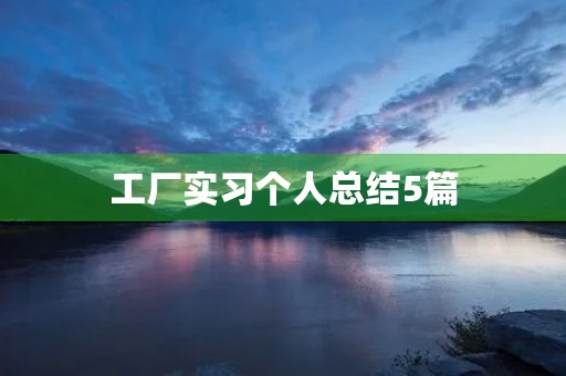 工厂实习个人总结5篇
