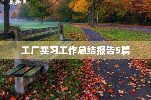 工厂实习工作总结报告5篇