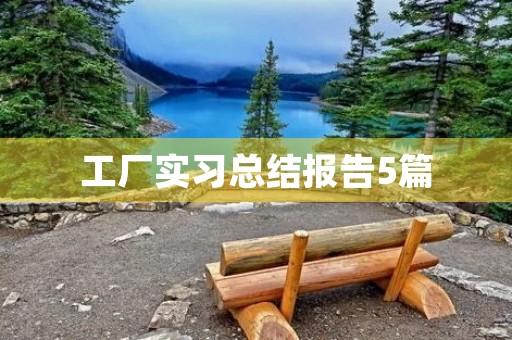 工厂实习总结报告5篇