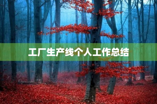 工厂生产线个人工作总结