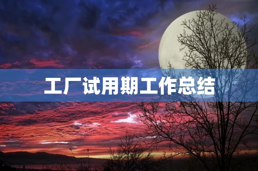 工厂试用期工作总结