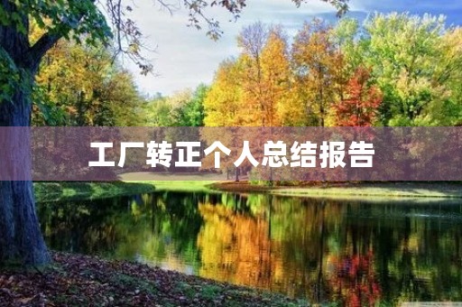 工厂转正个人总结报告