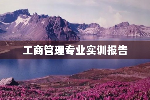 工商管理专业实训报告