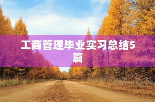 工商管理毕业实习总结5篇