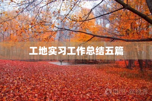 工地实习工作总结五篇