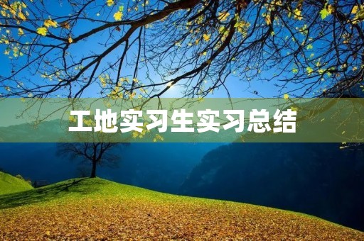 工地实习生实习总结 工地实习生实习总结