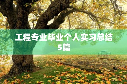 工程专业毕业个人实习总结5篇 工程专业毕业个人实习总结5篇