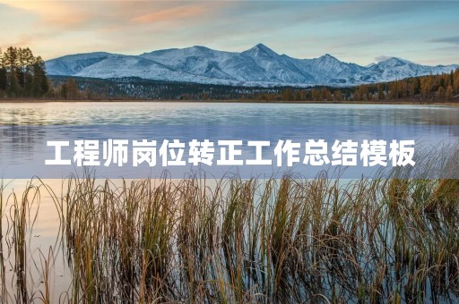 工程师岗位转正工作总结模板