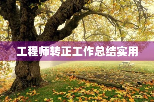 工程师转正工作总结实用