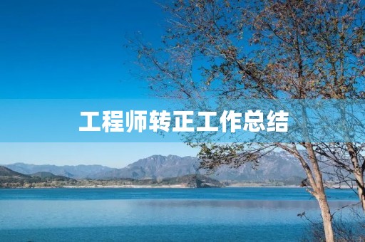 工程师转正工作总结