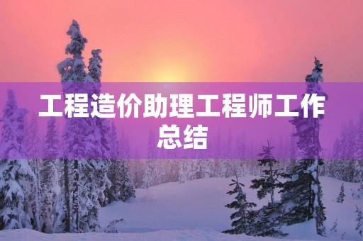 工程造价助理工程师工作总结