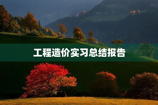 工程造价实习总结报告