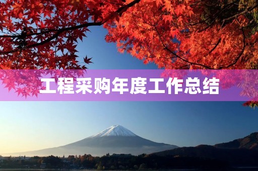 工程采购年度工作总结（20篇）