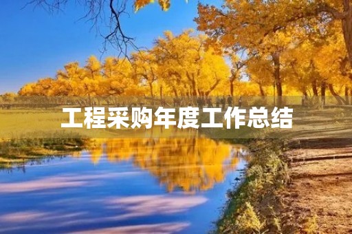 工程采购年度工作总结 工程采购年度工作总结