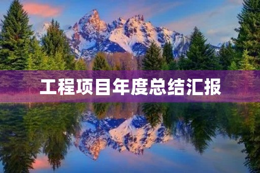 工程项目年度总结汇报