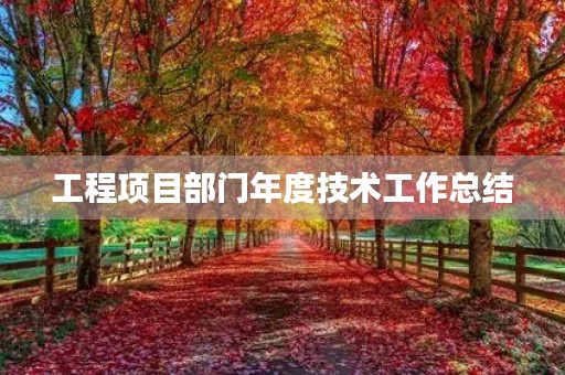 工程项目部门年度技术工作总结