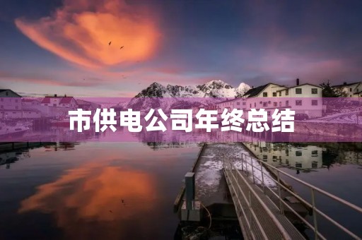 市供电公司年终总结