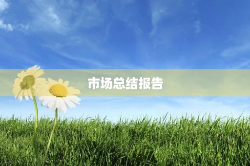 市场总结报告