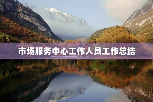 市场服务中心工作人员工作总结