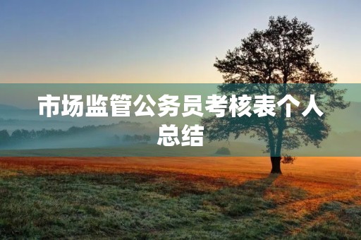 市场监管公务员考核表个人总结