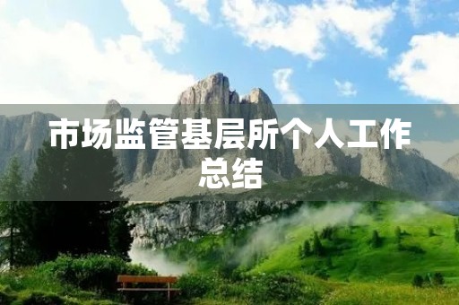 市场监管基层所个人工作总结