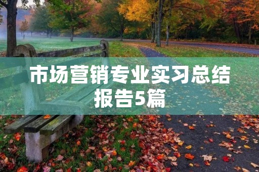 市场营销专业实习总结报告5篇