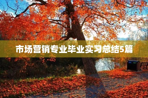 市场营销专业毕业实习总结5篇 市场营销专业毕业实习总结5篇