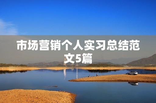市场营销个人实习总结范文5篇