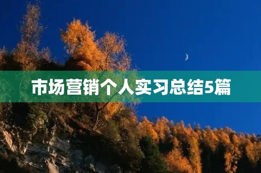 市场营销个人实习总结5篇