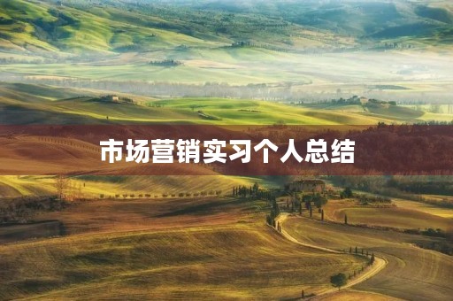市场营销实习个人总结