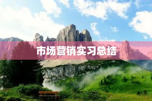 市场营销实习总结