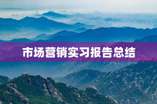 市场营销实习报告总结