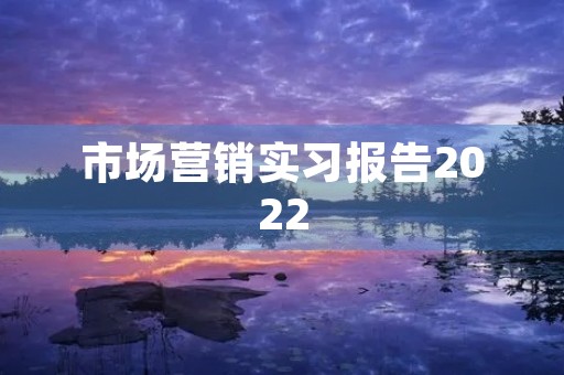 市场营销实习报告2022