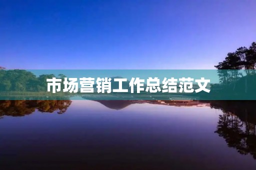 市场营销工作总结范文