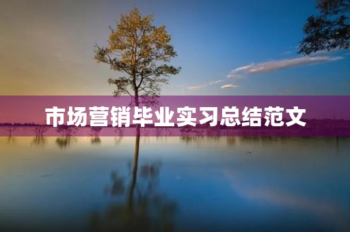 市场营销毕业实习总结范文 市场营销毕业实习总结范文