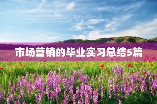 市场营销的毕业实习总结5篇