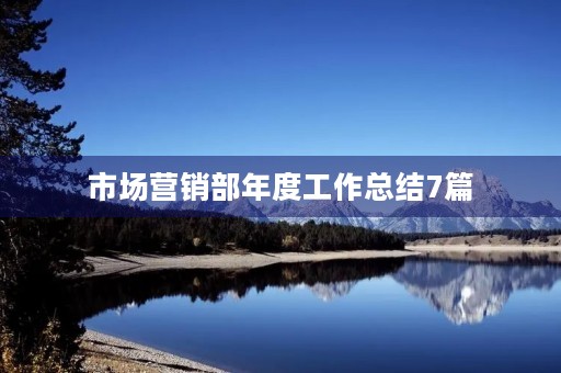 市场营销部年度工作总结7篇