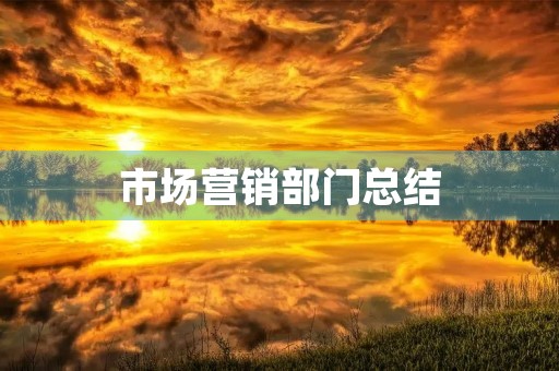 市场营销部门总结