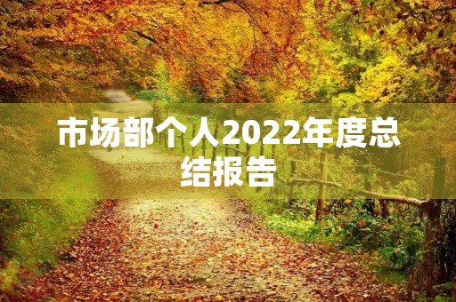 市场部个人2022年度总结报告