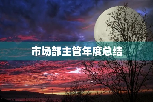 市场部主管年度总结