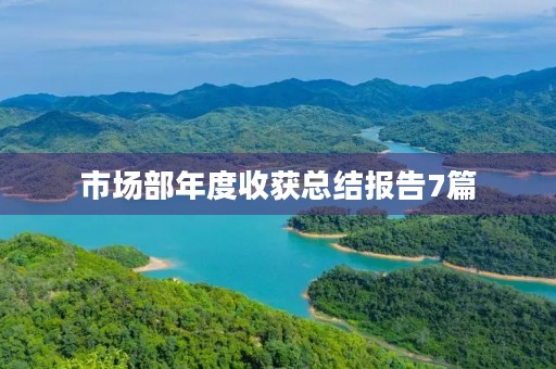 市场部年度收获总结报告7篇