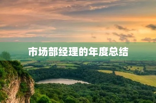 市场部经理的年度总结