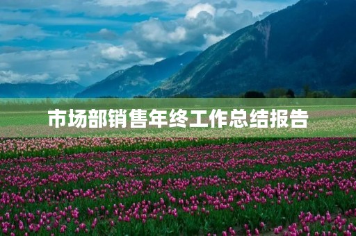 市场部销售年终工作总结报告