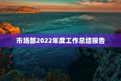 市场部2022年度工作总结报告