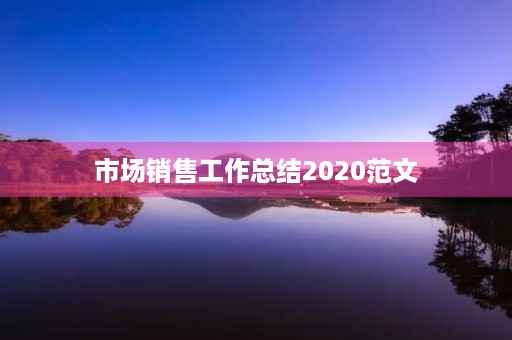 市场销售工作总结2020范文
