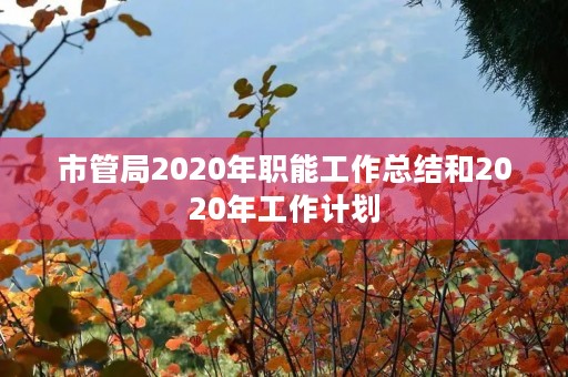 市管局2020年职能工作总结和2020年工作计划