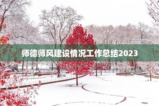 师德师风建设情况工作总结2023 师德师风建设情况工作总结2023
