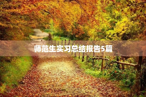 师范生实习总结报告5篇 师范生实习总结报告5篇